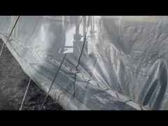 Χουμικό κάλιο/χουμικό νάτριο Κόκκοι