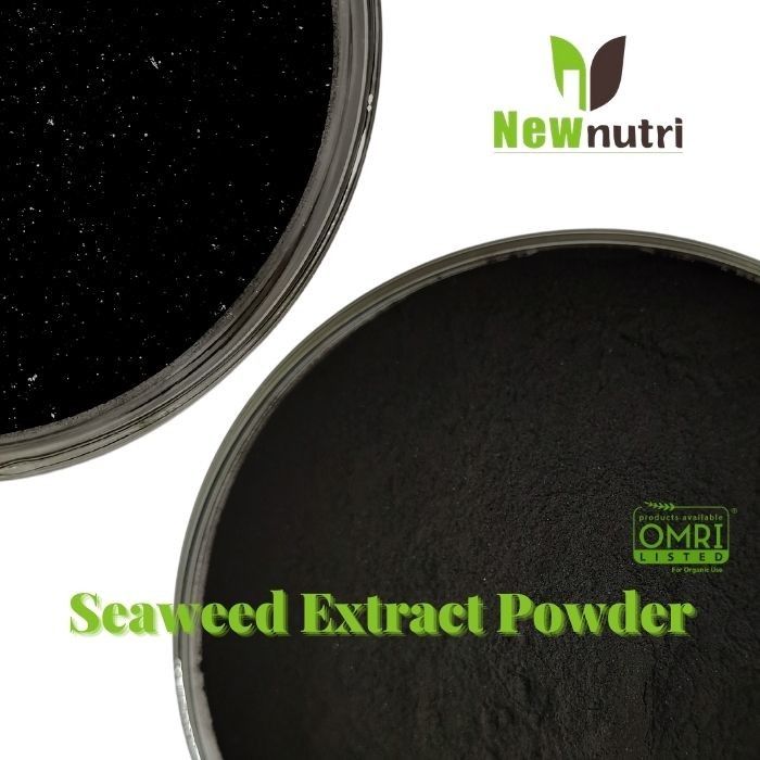 18% Potassium 80 Mesh Seaweed Extract Fertiliser